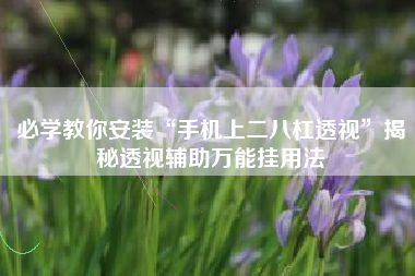 必学教你安装“手机上二八杠透视”揭秘透视辅助万能挂用法