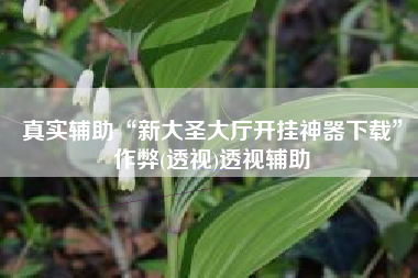 真实辅助“新大圣大厅开挂神器下载”作弊(透视)透视辅助