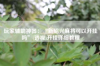 玩家辅助神器：“新绍兴麻将可以开挂吗”(透视)开挂详细教程