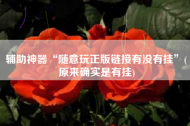 辅助神器“随意玩正版链接有没有挂”(原来确实是有挂)