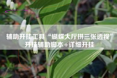 辅助开挂工具“蝴蝶大厅拼三张透视”开挂辅助脚本+详细开挂