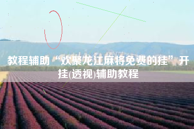 教程辅助“欢聚龙江麻将免费的挂”开挂(透视)辅助教程