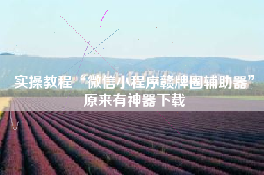 实操教程“微信小程序赣牌圈辅助器”原来有神器下载