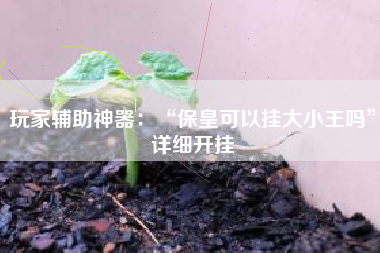 玩家辅助神器：“保皇可以挂大小王吗”详细开挂