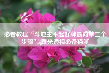 必看教程“斗地主不起好牌最简单三个步骤”(曝光透视必备猫腻