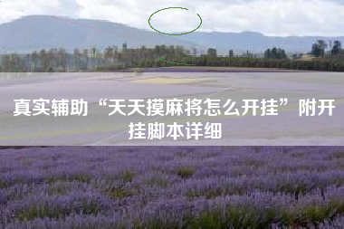 真实辅助“天天摸麻将怎么开挂”附开挂脚本详细