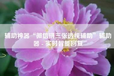 辅助神器“微信拼三张透视辅助”辅助器 - 实时智能回复