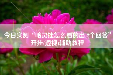 今日实测“哈灵挂怎么看的出 2个回答”开挂(透视)辅助教程