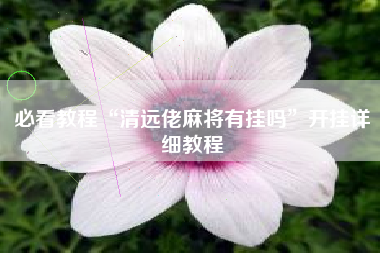 必看教程“清远佬麻将有挂吗”开挂详细教程