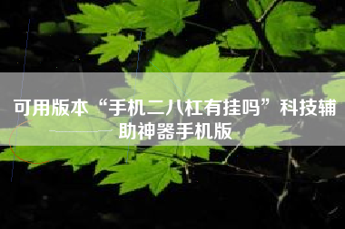 可用版本“手机二八杠有挂吗”科技辅助神器手机版