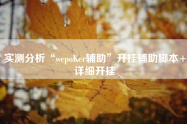 实测分析“wepoKer辅助”开挂辅助脚本+详细开挂