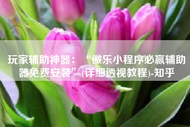 玩家辅助神器：“微乐小程序必赢辅助器免费安装”(详细透视教程)-知乎