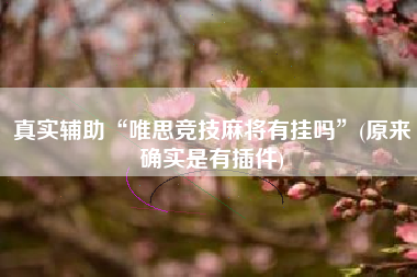 真实辅助“唯思竞技麻将有挂吗”(原来确实是有插件) 真实辅助“唯思竞技麻将有挂吗”(原来确实是有插件)