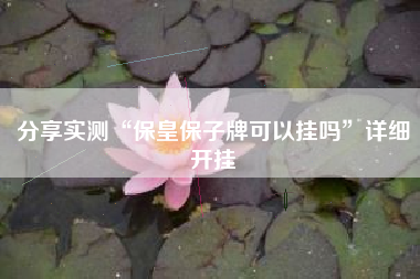 分享实测“保皇保子牌可以挂吗”详细开挂