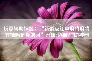 玩家辅助神器:“新聚友红中麻将麻将有挂吗是真的吗”开挂(透视)辅助神器 玩家辅助神器:“新聚友红中麻将麻将有挂吗是真的吗”开挂(透视)辅助神器