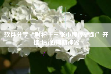 软件分享“财神十三张小程序辅助”开挂(透视)辅助神器