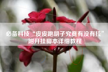必备科技“皮皮跑胡子究竟有没有挂”附开挂脚本详细教程