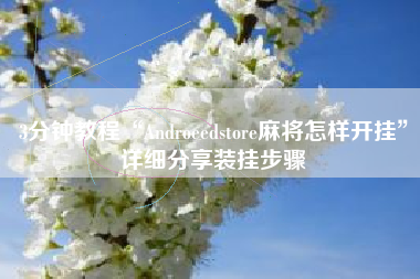 3分钟教程“Androeedstore麻将怎样开挂”详细分享装挂步骤