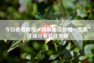 今日必看教程“陕麻圈挂价格一览表”详细分享装挂步骤