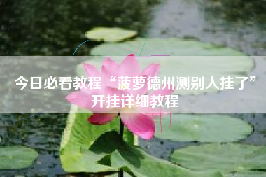 今日必看教程“菠萝德州测别人挂了”开挂详细教程