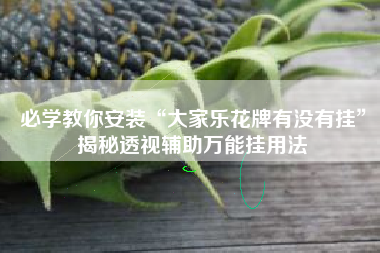 必学教你安装“大家乐花牌有没有挂”揭秘透视辅助万能挂用法