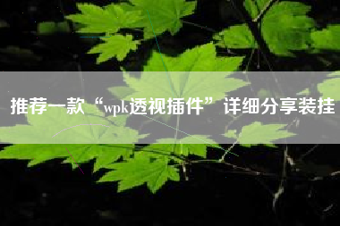 推荐一款“wpk透视插件”详细分享装挂