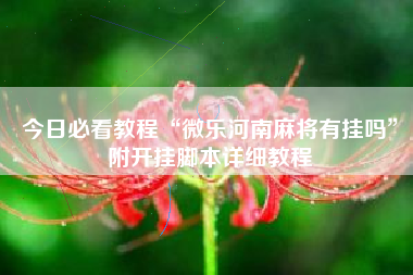 今日必看教程“微乐河南麻将有挂吗”附开挂脚本详细教程 今日必看教程“微乐河南麻将有挂吗”附开挂脚本详细教程