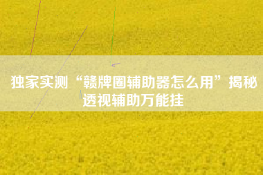 独家实测“赣牌圈辅助器怎么用”揭秘透视辅助万能挂