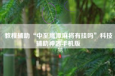 教程辅助“中至鹰潭麻将有挂吗”科技辅助神器手机版