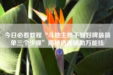 今日必看教程“斗地主抓不到好牌最简单三个步骤”揭秘透视辅助万能挂