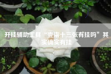 开挂辅助工具“壹柒十三张有挂吗”其实确实有挂