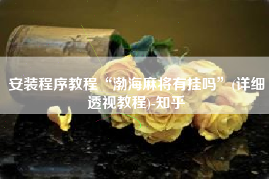 安装程序教程“渤海麻将有挂吗”(详细透视教程)-知乎