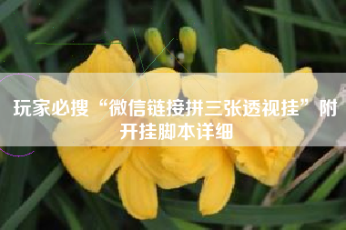 玩家必搜“微信链接拼三张透视挂”附开挂脚本详细 玩家必搜“微信链接拼三张透视挂”附开挂脚本详细