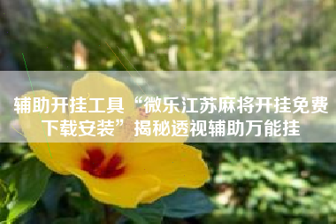 辅助开挂工具“微乐江苏麻将开挂免费下载安装”揭秘透视辅助万能挂