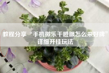 教程分享“手机微乐干瞪眼怎么来好牌”详细开挂玩法