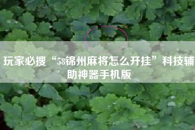 玩家必搜“58锦州麻将怎么开挂”科技辅助神器手机版