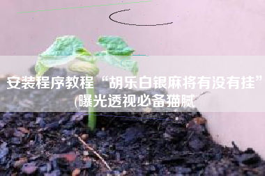 安装程序教程“胡乐白银麻将有没有挂”(曝光透视必备猫腻