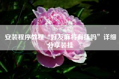 安装程序教程“好友麻将有挂吗”详细分享装挂