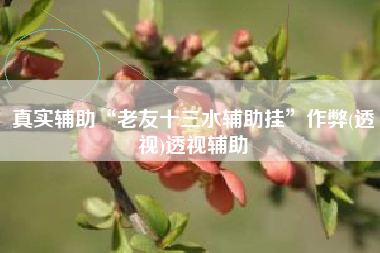 真实辅助“老友十三水辅助挂”作弊(透视)透视辅助