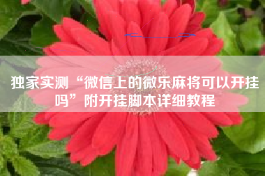 独家实测“微信上的微乐麻将可以开挂吗”附开挂脚本详细教程