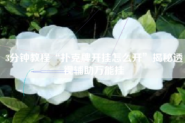 3分钟教程“扑克牌开挂怎么开”揭秘透视辅助万能挂