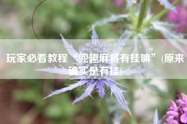 玩家必看教程“兜趣麻将有挂嘛”(原来确实是有挂)