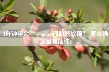 3分钟学会“wepoker辅助器教程”(原来确实是有插件)