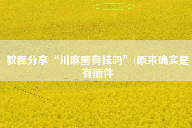 教程分享“川麻圈有挂吗”(原来确实是有插件