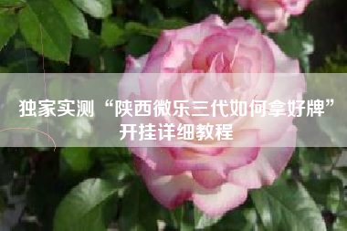 独家实测“陕西微乐三代如何拿好牌”开挂详细教程