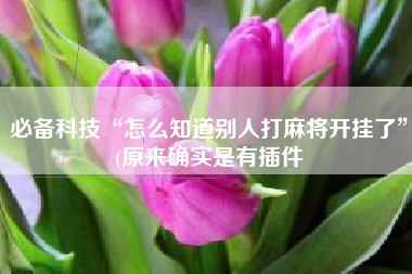 必备科技“怎么知道别人打麻将开挂了”(原来确实是有插件 必备科技“怎么知道别人打麻将开挂了”(原来确实是有插件
