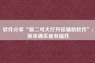 软件分享“新二号大厅开挂辅助软件”(原来确实是有插件