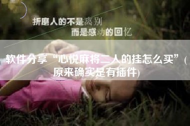 软件分享“心悦麻将二人的挂怎么买”(原来确实是有插件)