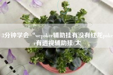 3分钟学会“wepoker辅助挂有没有红龙poker有透视辅助挂(太