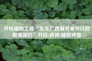 开挂辅助工具“友乐广西麻将是可以控制谁赢吗”开挂(透视)辅助神器